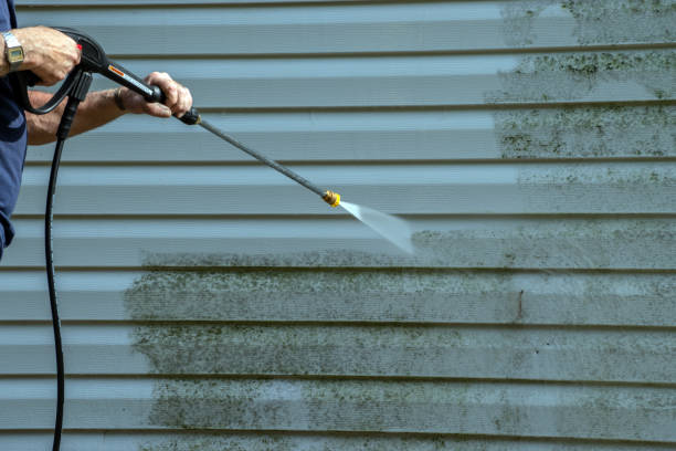 Best Pressure Washing Company Near Me  in Mount Carroll, IL