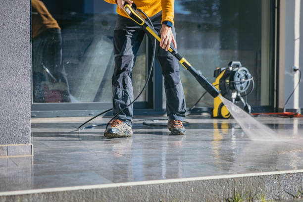 Best House Pressure Washing  in Mount Carroll, IL